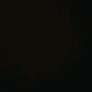 Meet your Posher, Corey